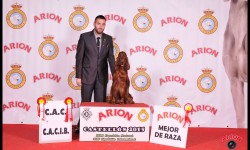 Doble Exposición Nacional e Internacional Canina de Castellón 2015